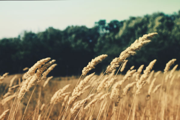 ddos在线攻击测试网站